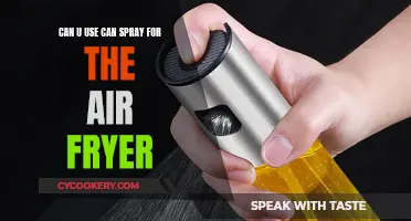 Using Cooking Spray in an Air Fryer: Safe or Not?