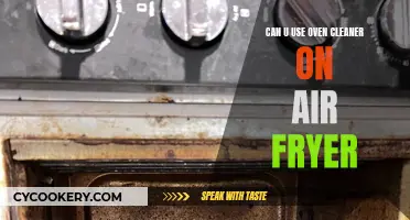 Oven Cleaner for Air Fryer: Safe or Not?