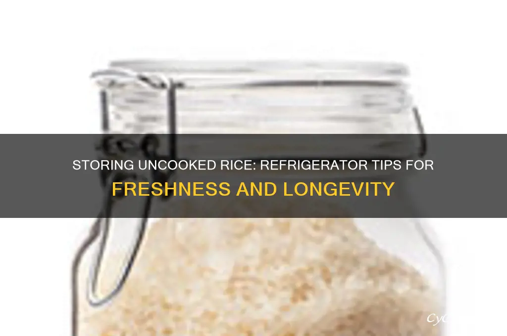 can uncooked rice be kept in refrigerator