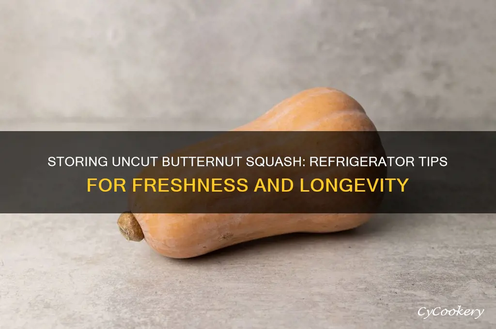 can uncut butternut squash be stored in the refrigerator