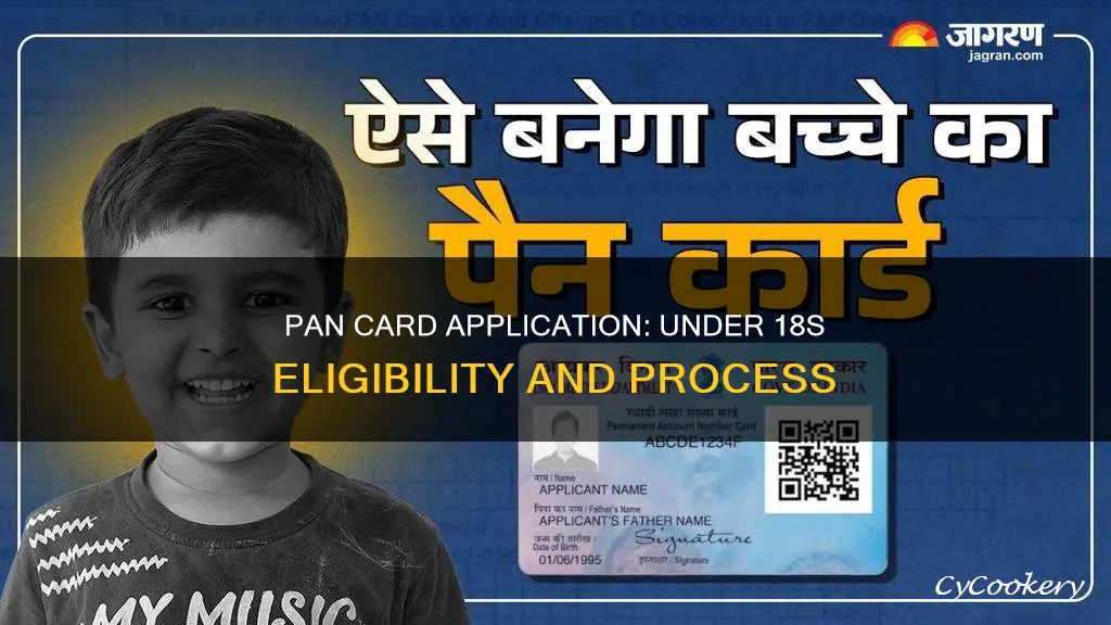 can under 18 apply for pan card