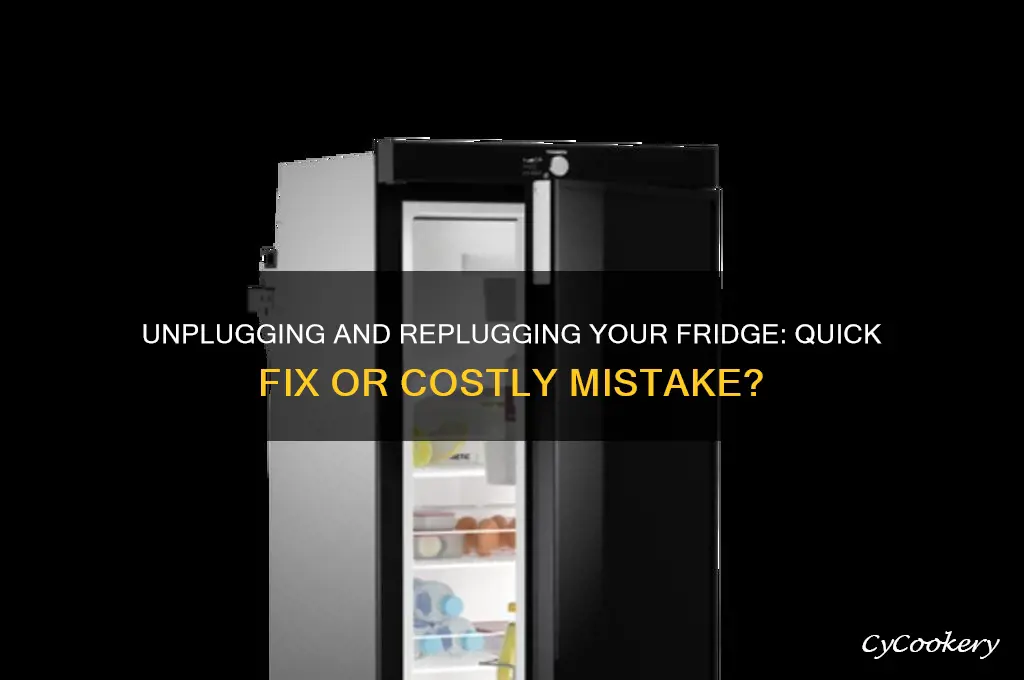 can unplugging and replugging a refrigerator