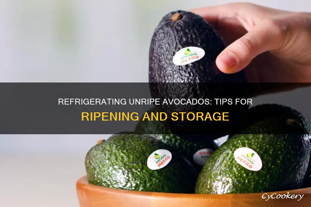 can unripe avocado be refrigerated