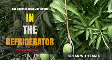 Storing Unripe Mangoes: Refrigerator Tips for Longer Freshness