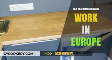 Can USA Refrigerators Work in Europe? Voltage and Compatibility Explained