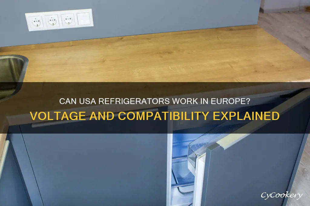 can usa refrigerators work in europe