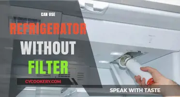Using Your Refrigerator Without a Filter: Is It Safe or Risky?