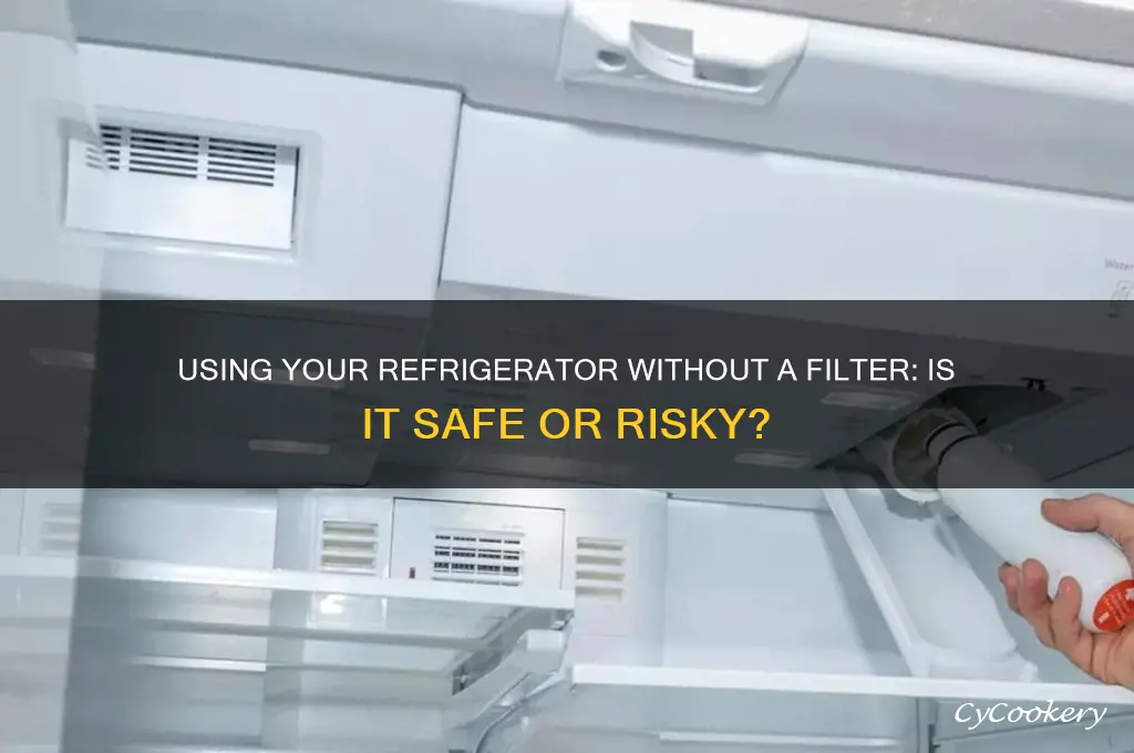 can use refrigerator without filter