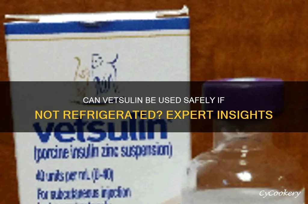 can use vetsulin if it was not refrigerated