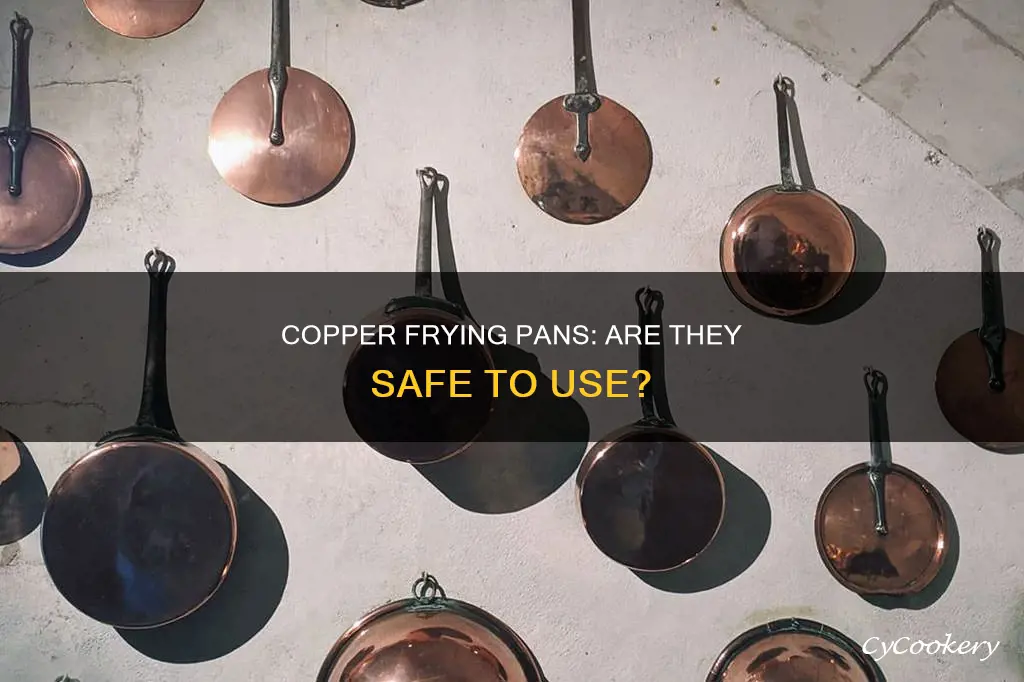 can using a copper frying pan cause toxicity