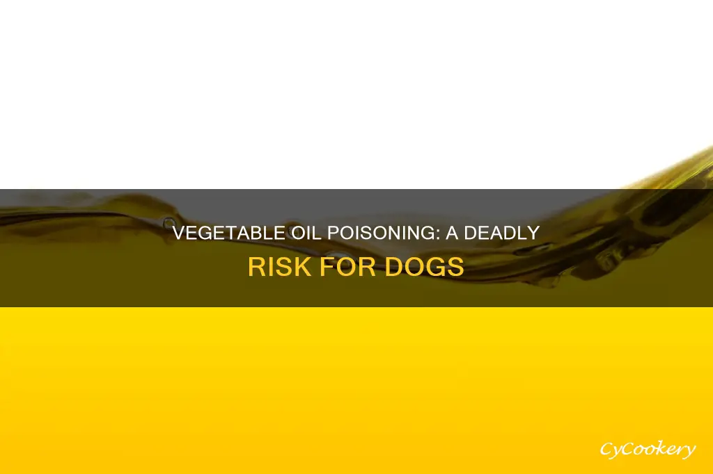 can vegitable oil fryer greese kill a dog