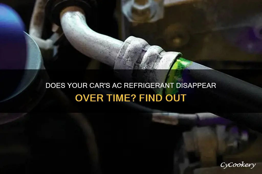 can vehicle refrigerant be lost over time