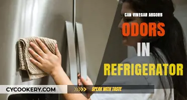 Vinegar's Power: Eliminating Fridge Odors Naturally and Effectively