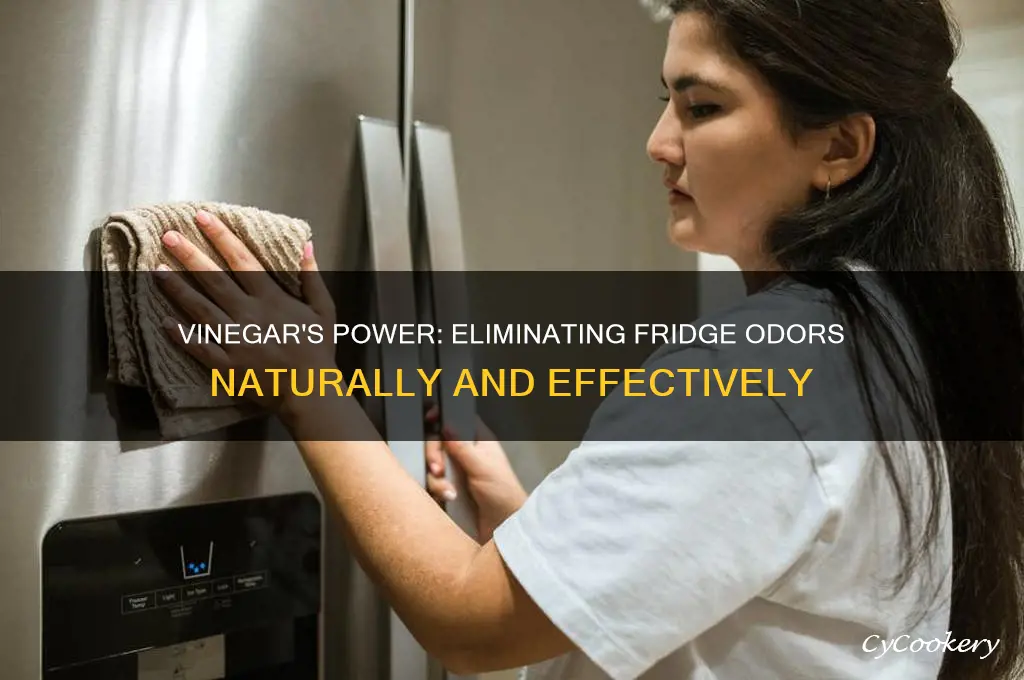 can vinegar absorb odors in refrigerator