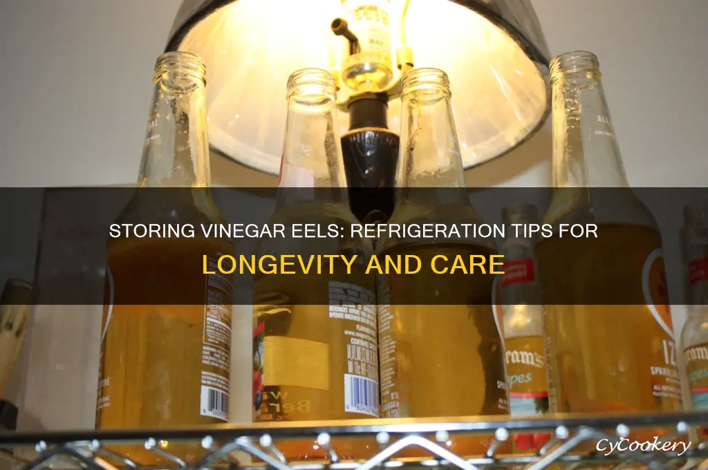 can vinegar eels be stored in the refrigerator