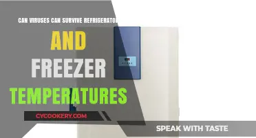 Do Viruses Survive in Refrigerators and Freezers? Chilling Facts Revealed
