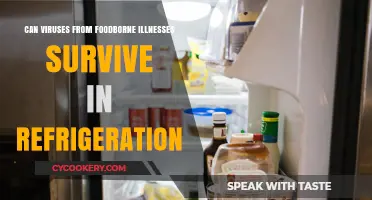 Do Foodborne Viruses Survive in Your Refrigerator? The Chilling Truth