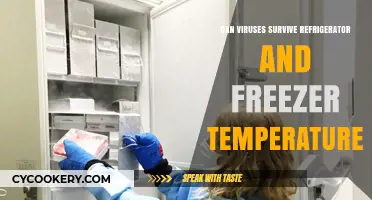 Do Viruses Survive in Refrigerators and Freezers? Exploring Cold Storage Safety
