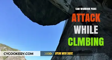 Warrior Pans: Attacking While Climbing?