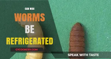 Can Wax Worms Survive in the Fridge? A Complete Guide