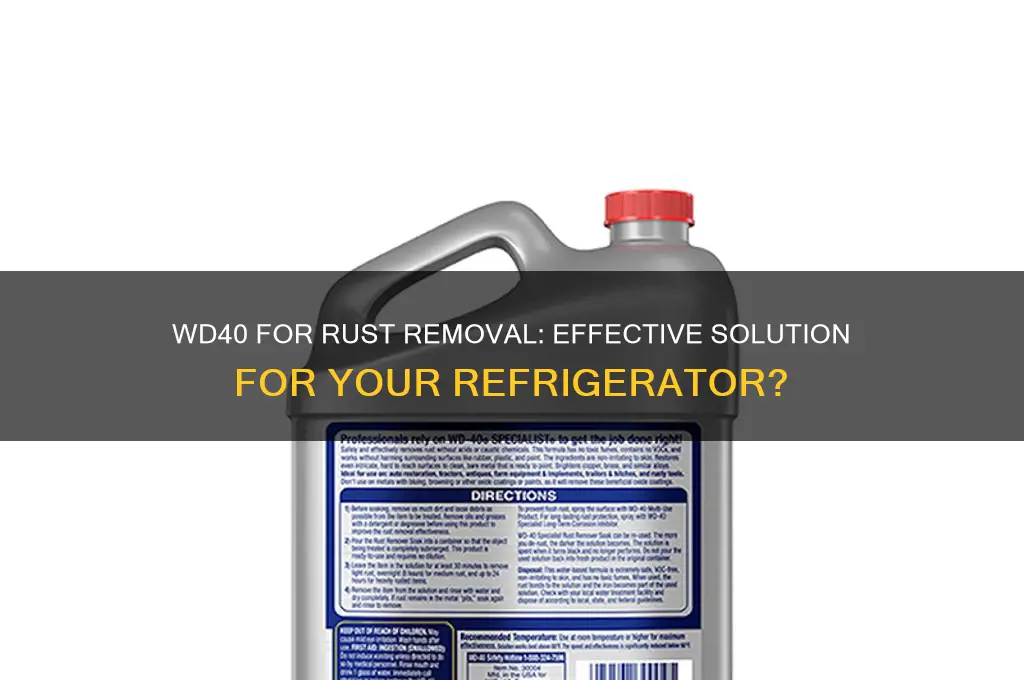 can wd40 remove rust from refrigerator