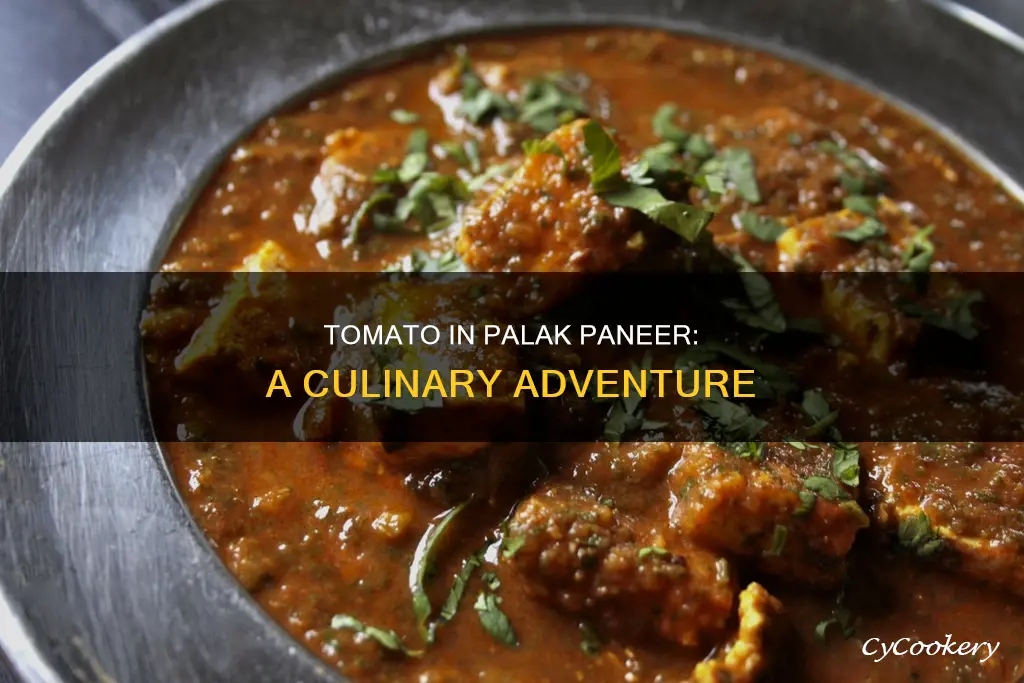 can we add tomato in palak paneer