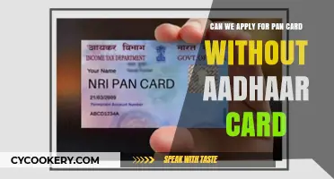 PAN Card Application: The Aadhaar Card Dilemma