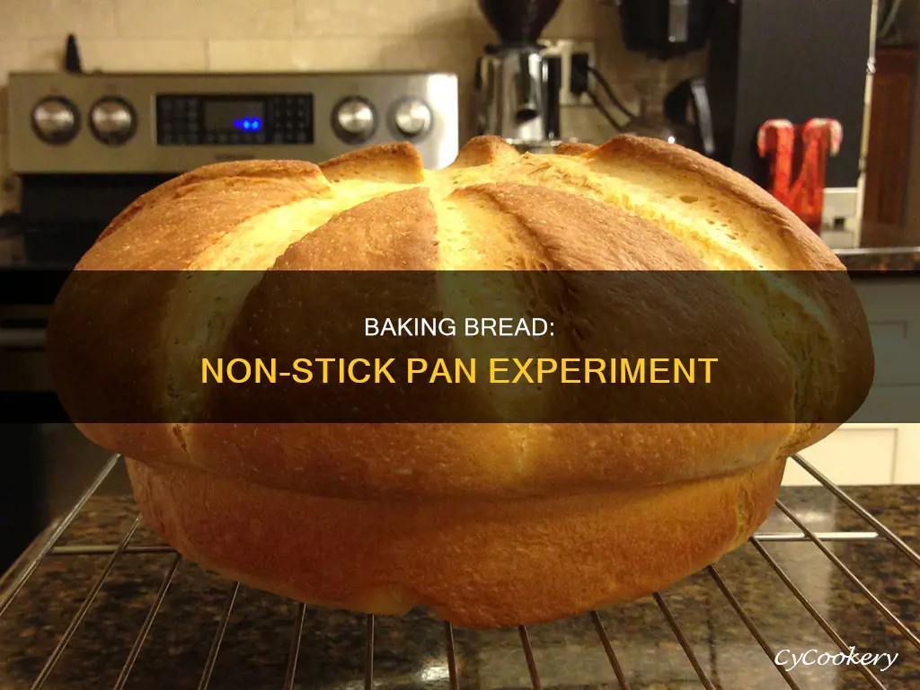 can we bake a bread on a non stick pan