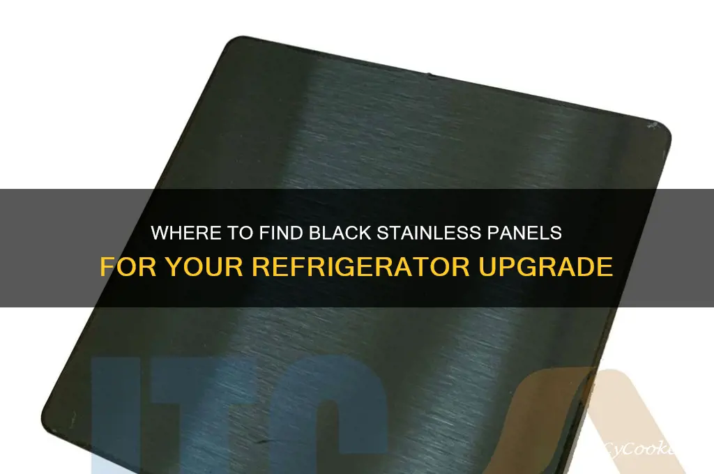 can we buy black stainless panels for a refrigerator