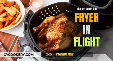 Air Fryer Travel: Can You Bring It On a Plane?