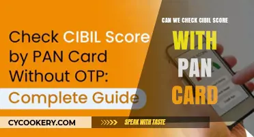 PAN Card CIBIL Score Check: What's the Link?