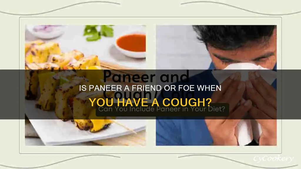 can we eat paneer during cough