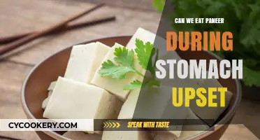 Can Paneer Help Soothe an Upset Stomach?