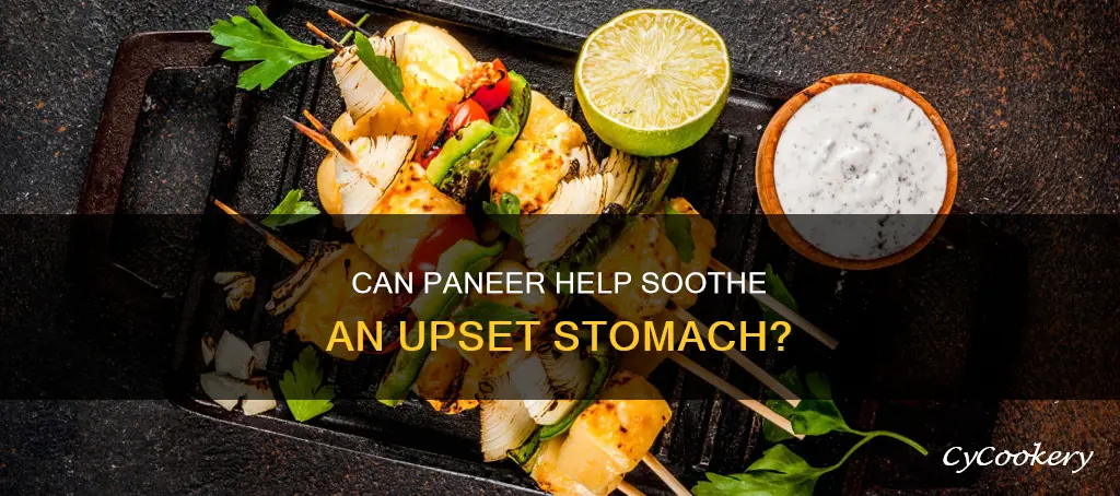 can we eat paneer during stomach upset