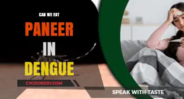 Heal with Dengue: Is Paneer a Friend or Foe?