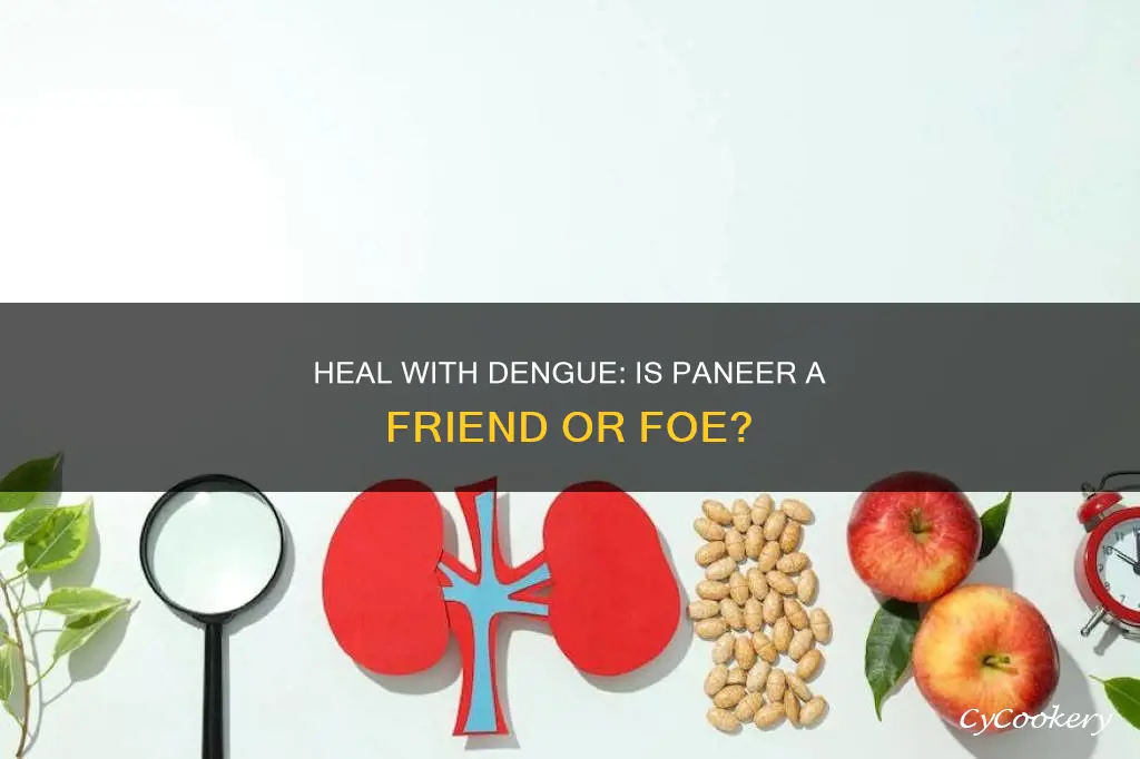 can we eat paneer in dengue