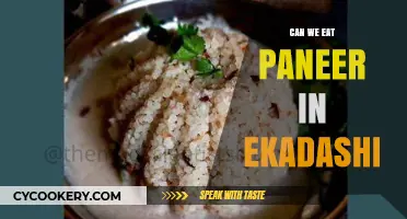 Is Paneer Consumption Allowed During Ekadashi?