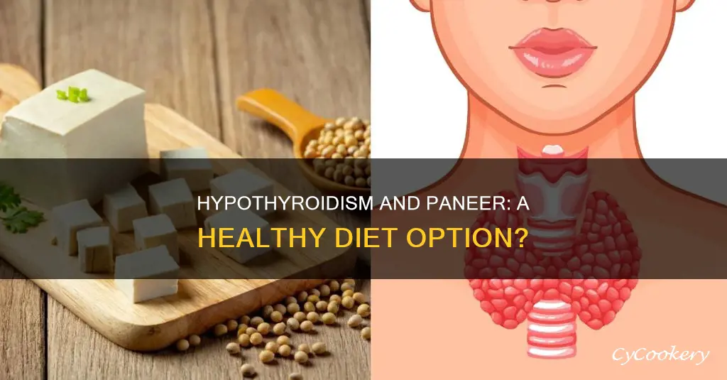 can we eat paneer in hypothyroidism