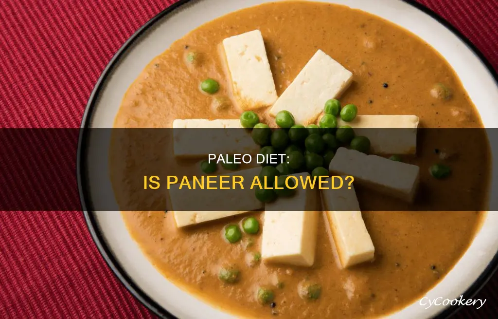 can we eat paneer in paleo diet