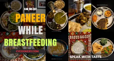 Breastfeeding and Paneer: Is It Safe?