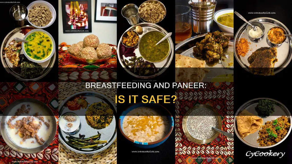 can we eat paneer while breastfeeding