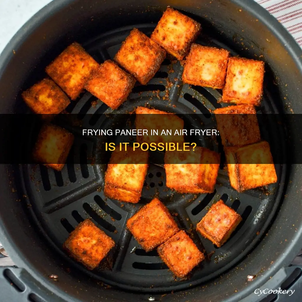 can we fry paneer in air fryer