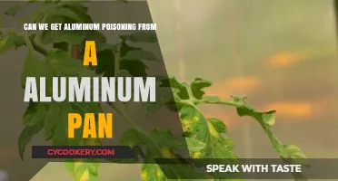 Aluminum Pans: Safe or Poisonous?