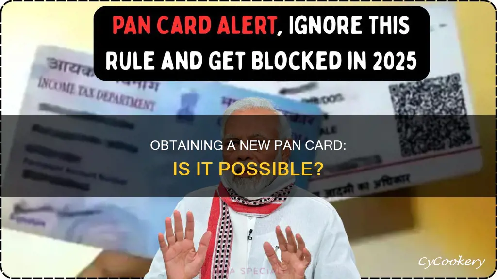 can we get new pan number