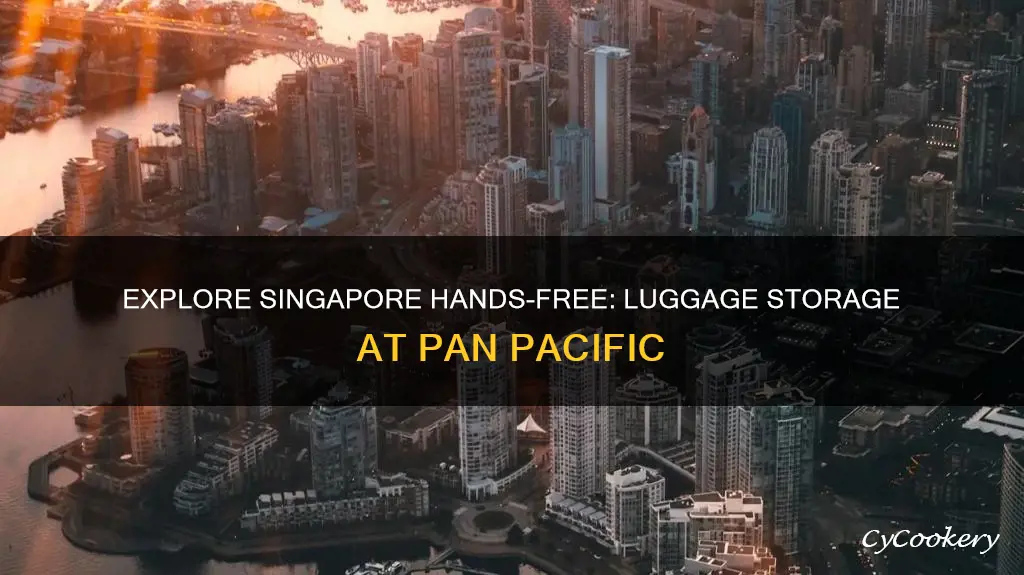 can we lave luggage at pan pacific hotel