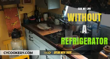 Life Without a Fridge: Is It Possible or Purely Impossible?