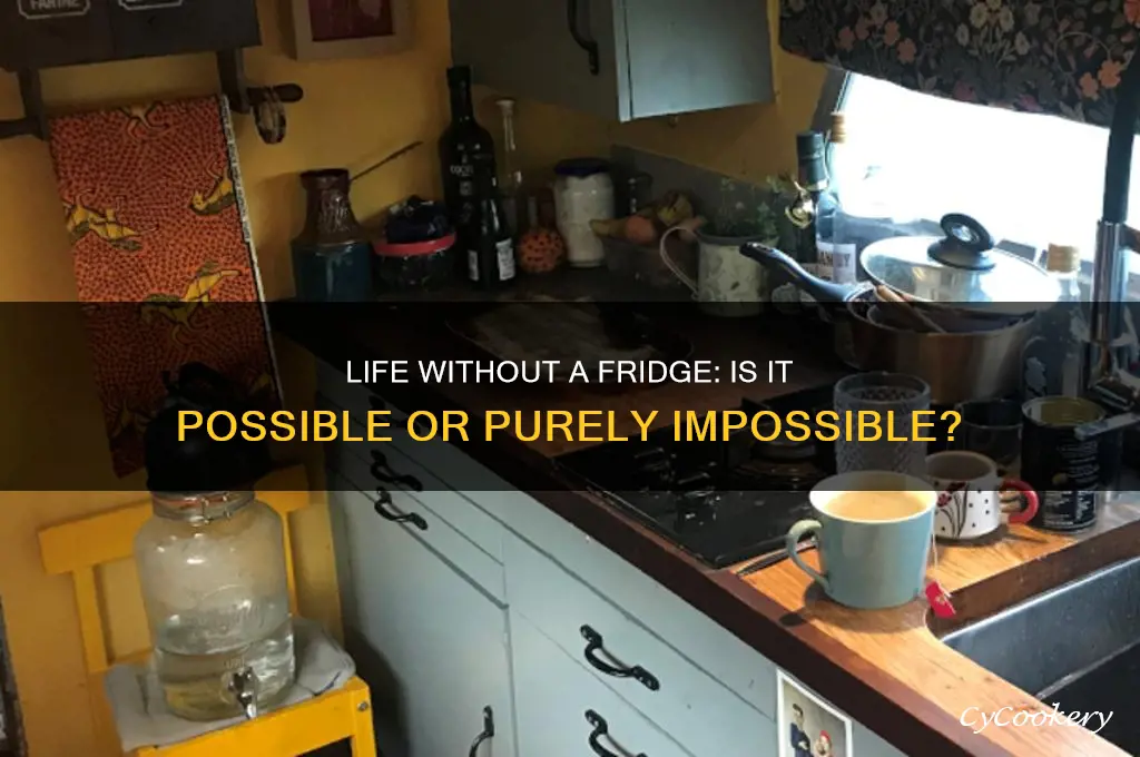 can we live without a refrigerator