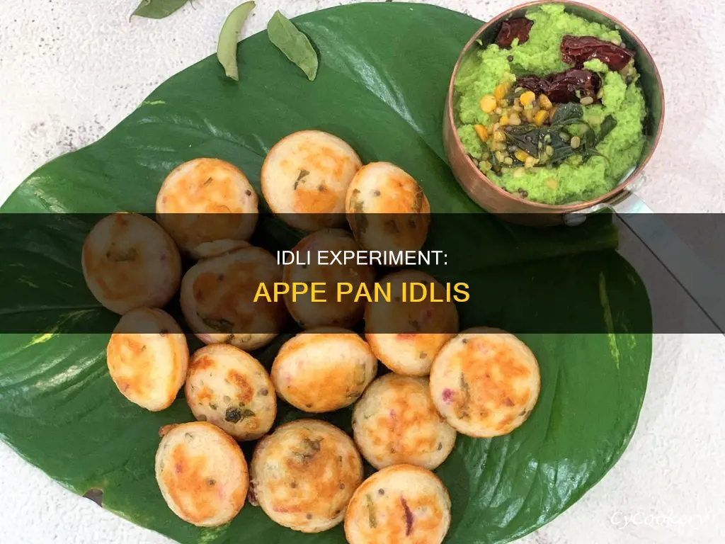 can we make idli in appe pan