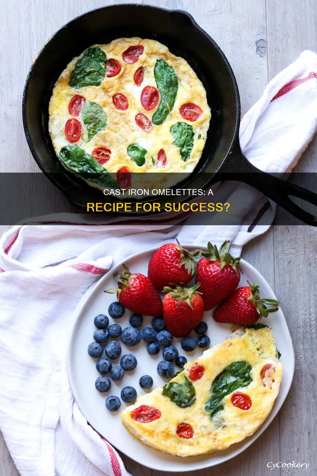can we make omelette on cast iron pan