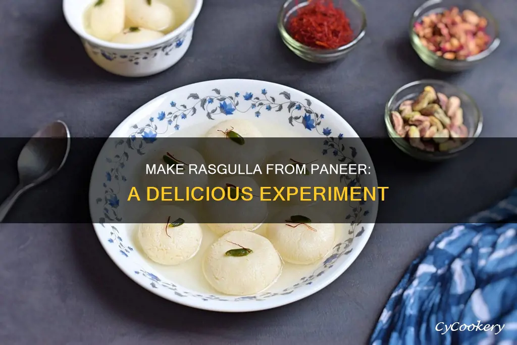 can we make rasgulla from paneer